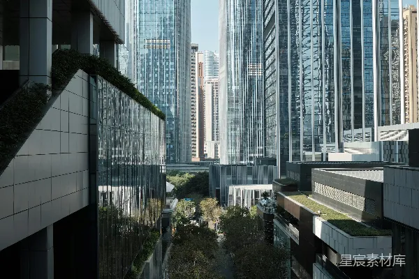 一座高楼林立的城市景观