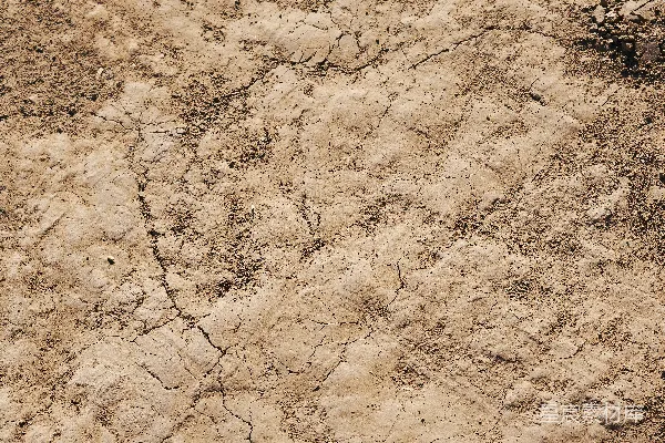 高清摄影 一幅沙漠的特写图。