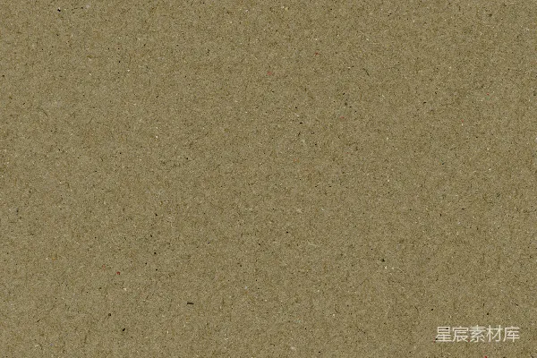 高清摄影 一只鸟站在一张棕色的纸上。