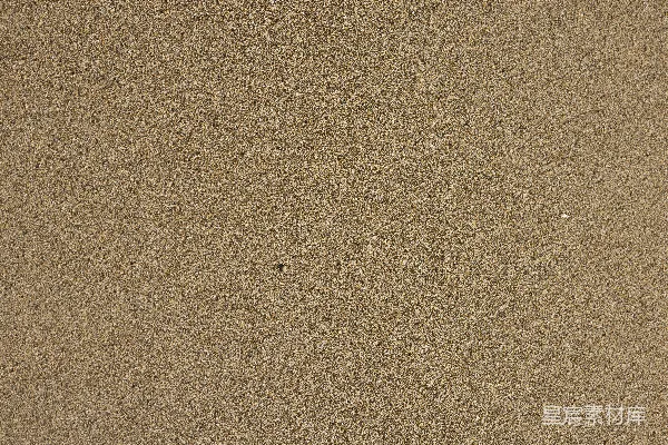 高清摄影 穿着黑色皮鞋的人