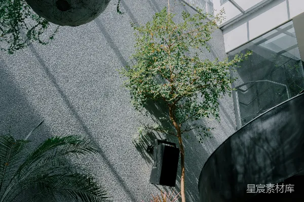 一间充满许多植物的房间靠近一幢高大的建筑