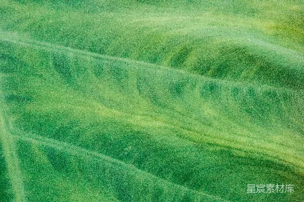 高清摄影 绿色和白色抽象画