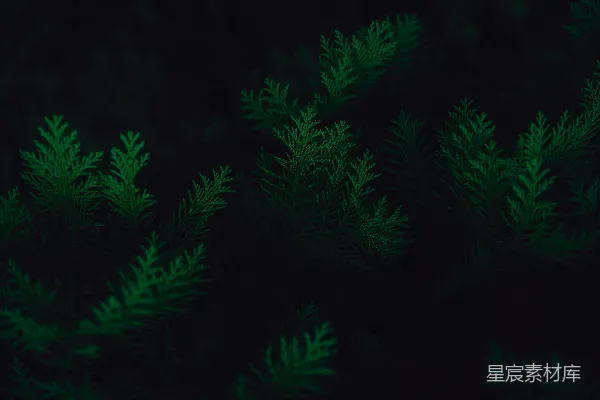 背景图案
