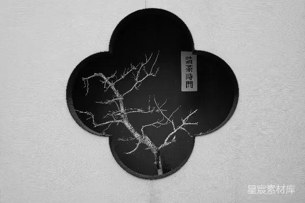 裸露的树干被装饰性的窗户框住