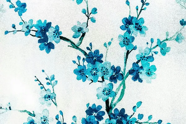 高清摄影 一幅背景为白色的蓝色花朵画作