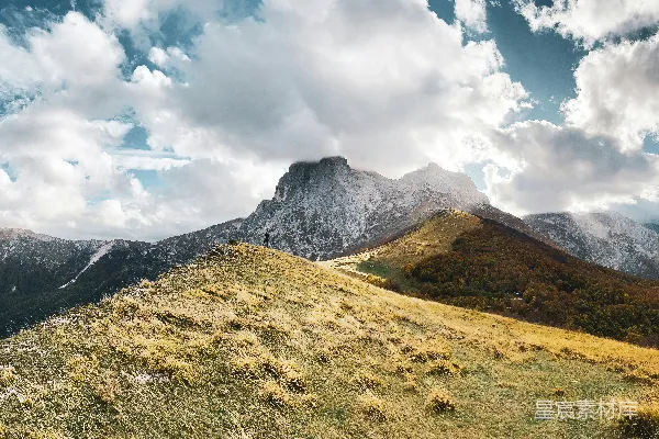 背景有一座山的草地上有一片草地
