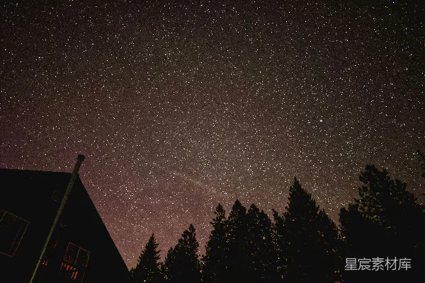 夜空满是星星和树木