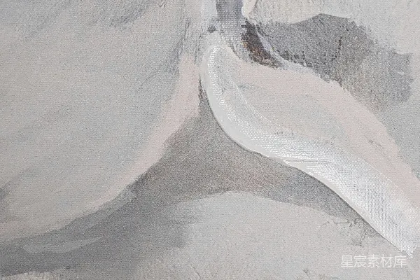 高清摄影 灰白抽象画