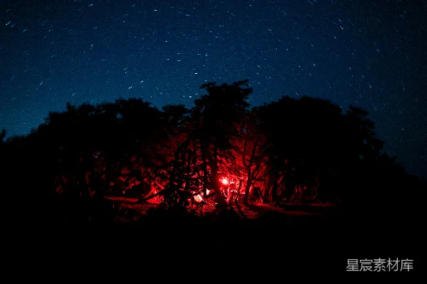 星夜下轮廓分明的树木，红光闪耀。