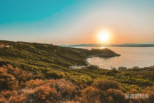白天近水之旁绿色的草地