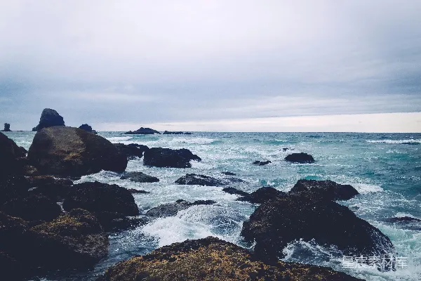 海中的岩石在白天