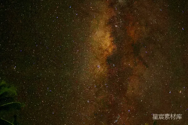 夜幕下的银河galaxy映衬在棕榈树上