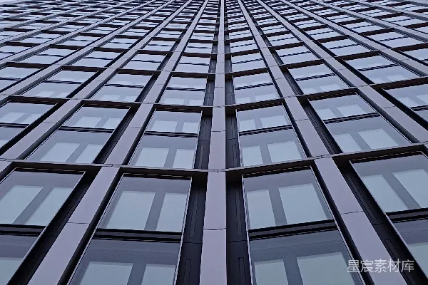 一座有很多窗户的高大建筑