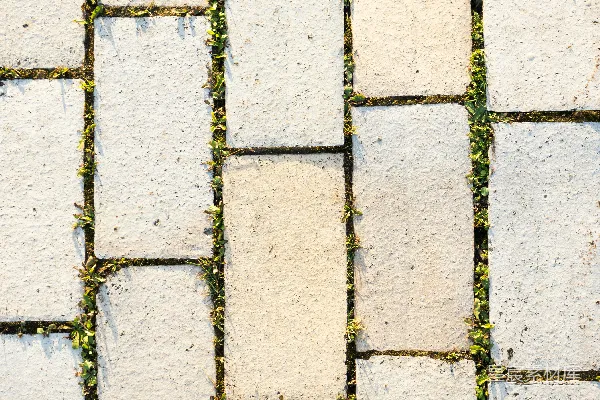 高清摄影 灰色和黑色的混凝土墙