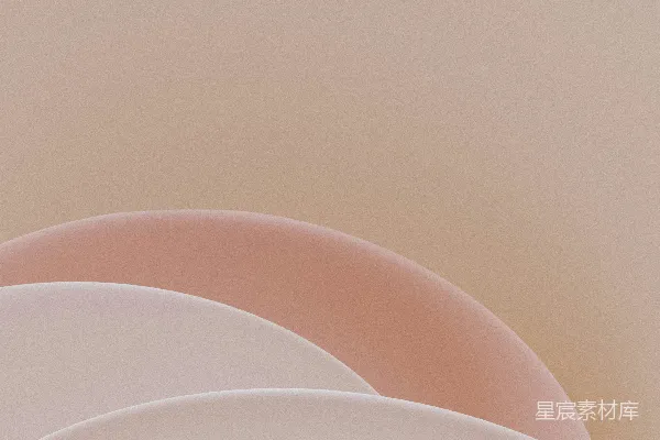 一个白色的碗的特写镜头