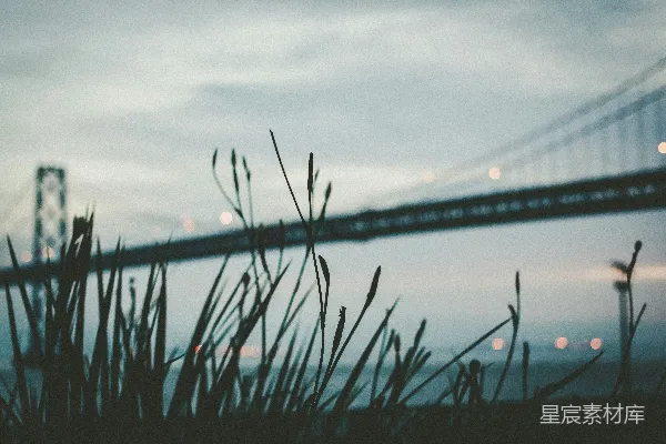 草的轮廓