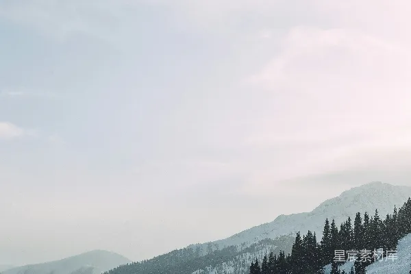 绿树在覆盖着白雪的地面上，在白天的白云蓝天背景下