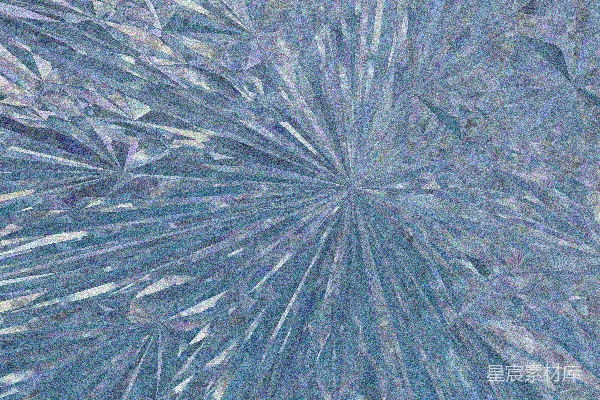 高清摄影 一朵蓝色花朵的特写视图