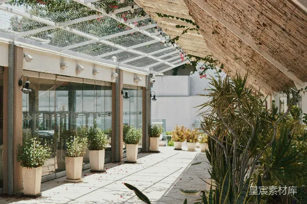 充满植物的建筑物