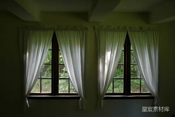 两窗白纱，窗外树木。