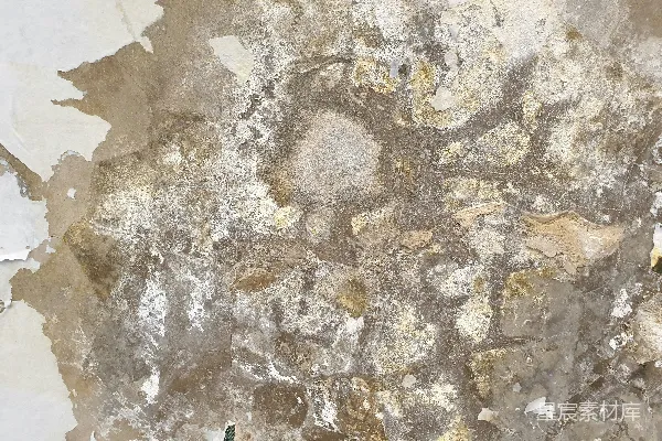 高清摄影 一幅剥落油漆的墙壁的特写照片