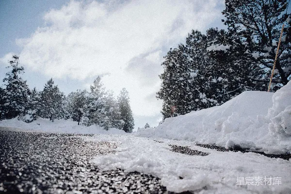 背景中有树的道路覆盖着积雪