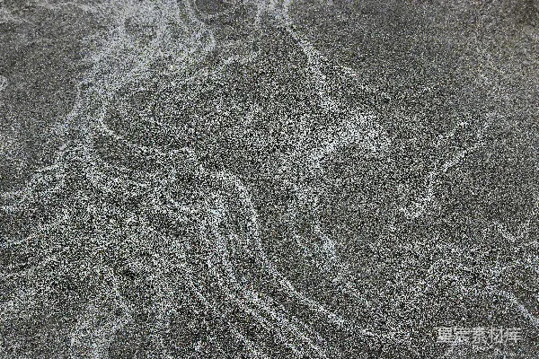 高清摄影 一张珊瑚的特写照片