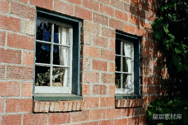 一只猫坐在砖砌建筑的窗户上