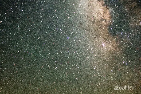 星夜下的树影轮廓