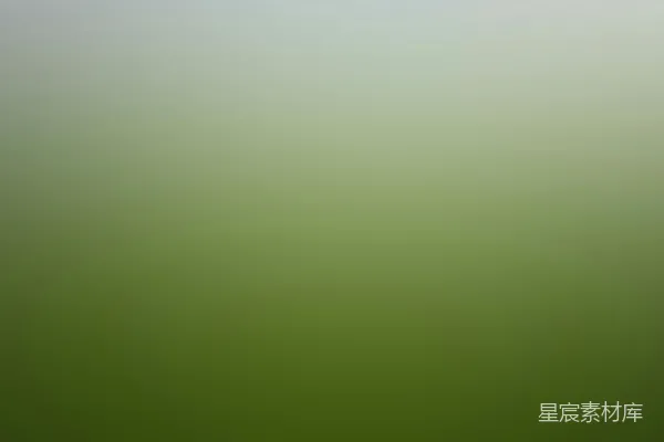 绿色和白色的墙面