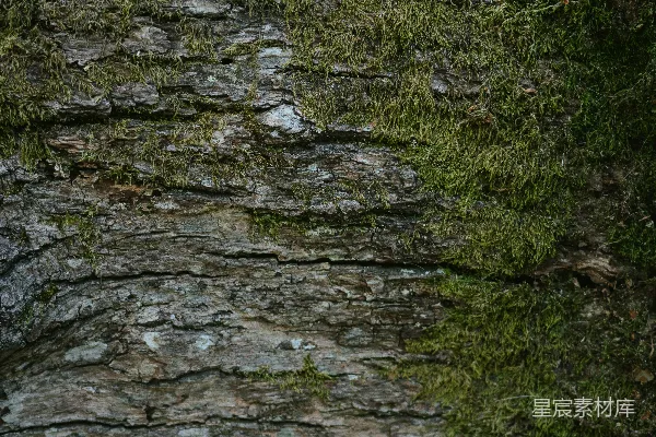 高清摄影 一条流水，周围有岩石和植物。