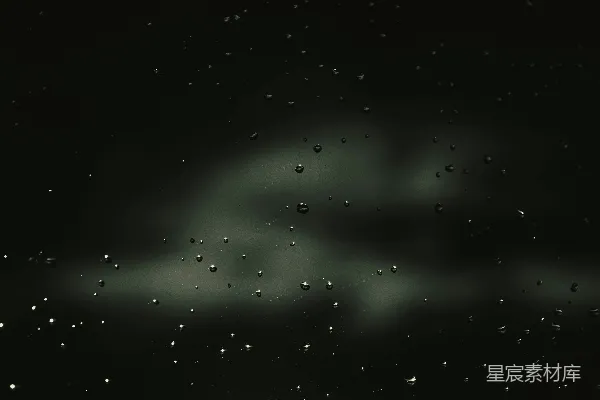 黑白照片中的雨滴