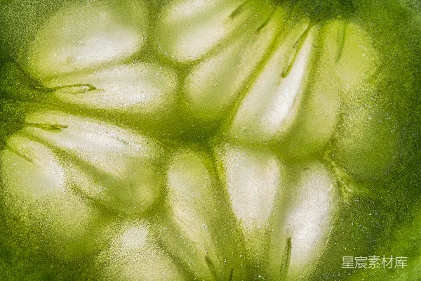 高清摄影 一碗水中的黄瓜特写