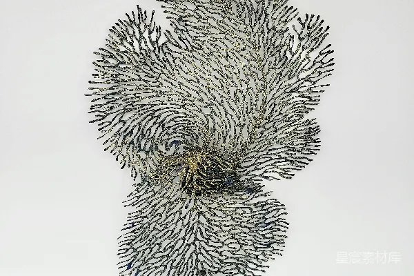高清摄影 绿色植物插图