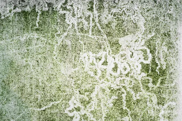 高清摄影 紫色和白色抽象画