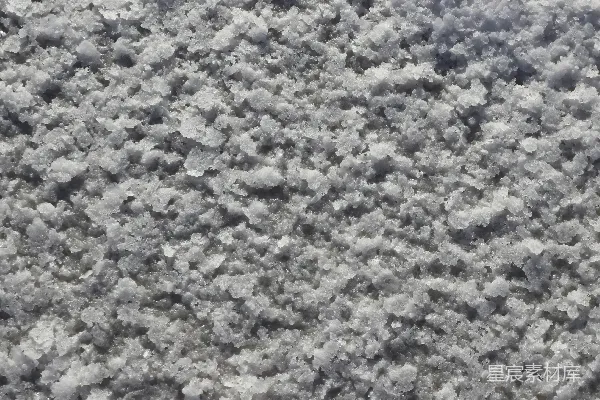 高清摄影 一张黑白照片，地上覆盖着雪。