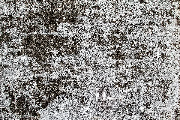 高清摄影 抽象的白棕相间的画作
