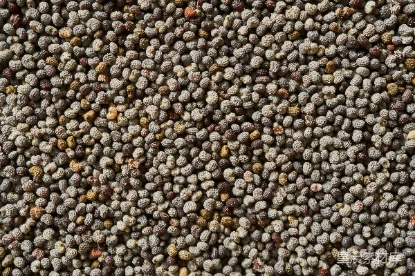 高清摄影 棕色和黑色的鹅卵石在地上