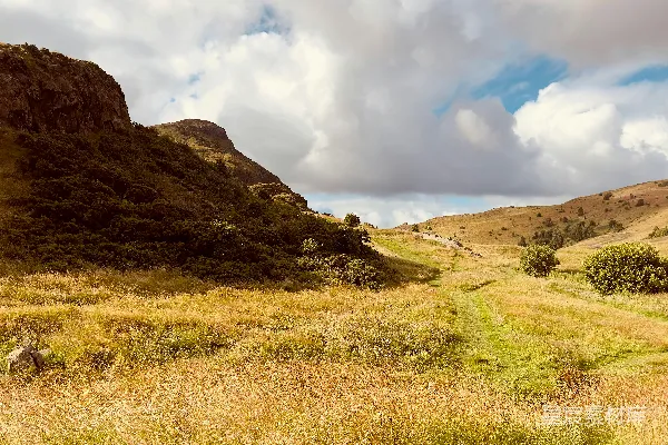背景中有山的草地场形单独