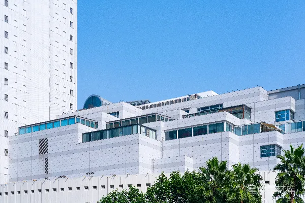 现代白色建筑，棕榈树和蓝天。