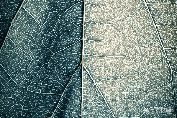 高清摄影 图表