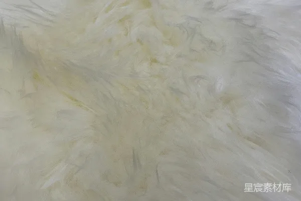 高清摄影 一张白色的毛皮纹理特写照片