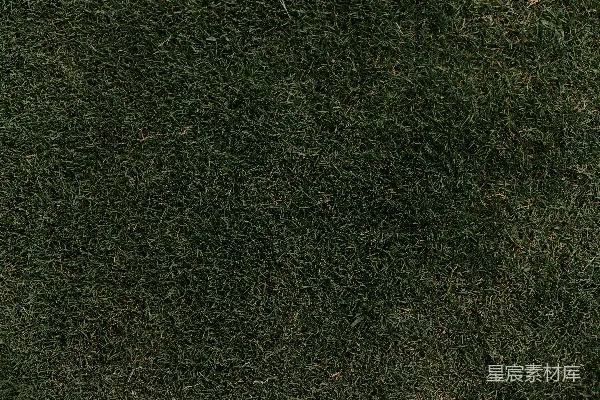 高清摄影 绿色草地