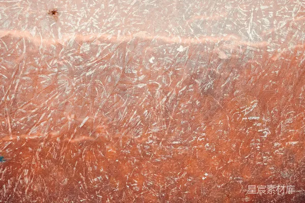高清摄影 质地显示出细致而复杂的图案。
