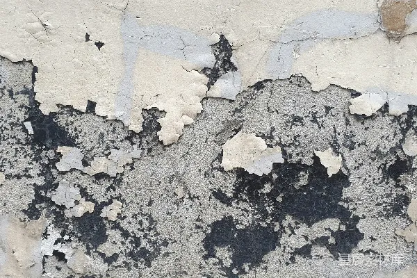 高清摄影 一幅剥落油漆的墙面的特写图。