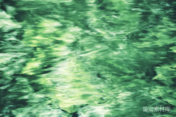 绿色的水反射阳光和绿色植物。