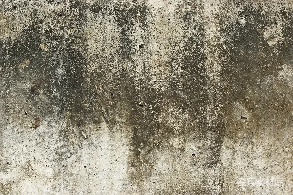 高清摄影 灰色和白色相间的混凝土地板