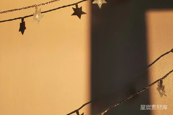 白黑两星挂在电线之上