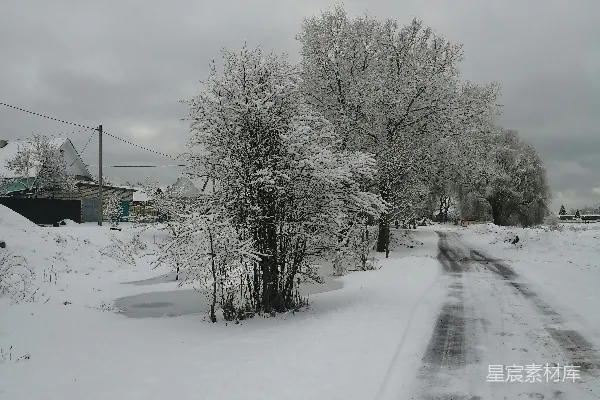 覆盖着白雪的道路，背景中有树木和房屋。