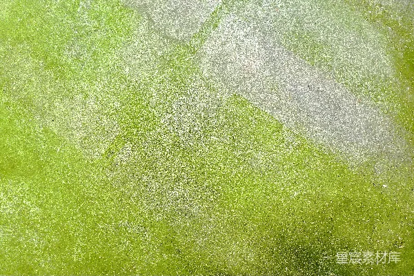 高清摄影 一张海浪的特写照片